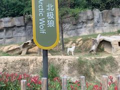 -杭州野生动物世界