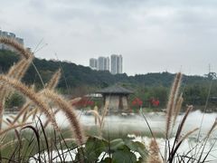 -广西壮族自治区药用植物园
