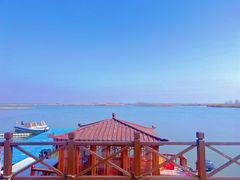 -盐城丹顶鹤湿地生态旅游区