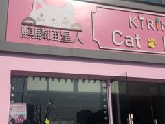 -70cat德文卷毛猫·缅因猫纯种猫舍