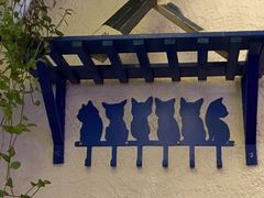 -Sirena海妖日咖夜酒