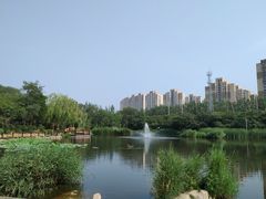 -前关湿地公园