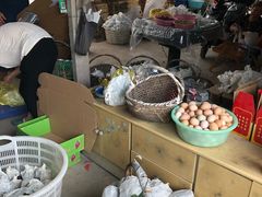 -马陆小张葡萄园农家乐