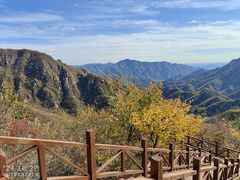 -大岭沟猕猴桃谷风景区