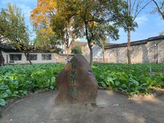 -绍兴鲁迅故里·沈园景区