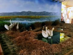 -延庆地质公园博物馆