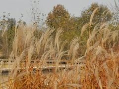 -石砭峪水库