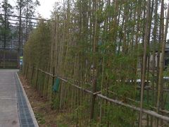 -前小桔亲子创意农场·草莓采摘·露营烧烤