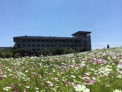 -晓庄学院-食堂