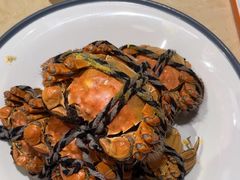-杨氏青龙虾·羊蝎子(珠江路店)