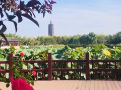 -西海子公园