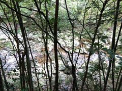 -宁波五龙潭景区