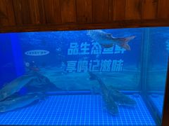 -尚品天城
