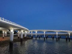 -演武大桥观景平台