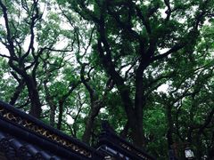 -普陀山风景名胜区-法雨禅寺