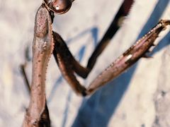 -锦屏山旅游度假区
