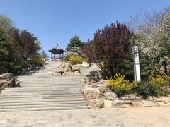 -大兴滨河森林公园