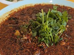 -胖大姐黄辣丁鱼庄(新津店)
