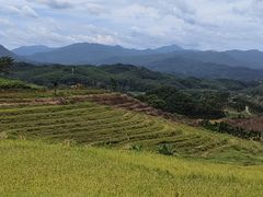 -牙胡梯田