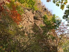 -天女山森林公园