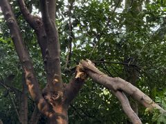 -杭州城北体育公园