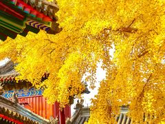 -承恩寺