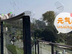 -铁山坪森林公园