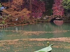 -灵栖洞天