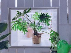 -二酉书店TOYOU BOOKS