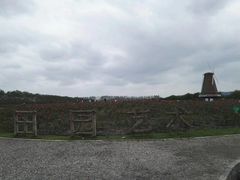 -漩门湾国家湿地公园