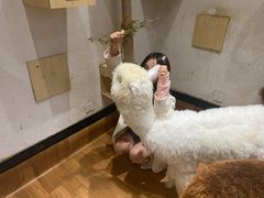 -猫色咖啡·猫咖