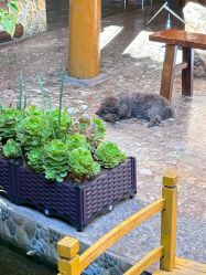 -小红帽摄影(丽江店)