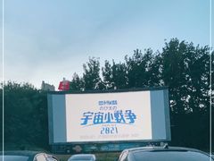 -枫花园汽车电影院(朝阳公园店)