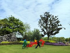 -上海长兴岛郊野公园