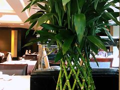 -御花园·粤菜·海鲜火锅(中山公园店)