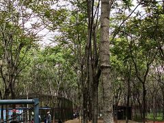 -草根堂农场