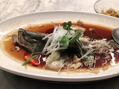 -桃花源中餐厅(金茂豪华精选酒店)