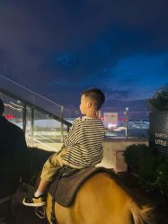 -小蜜蜂农场(凯德七宝购物广场店)