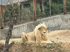 -石家庄市动物园