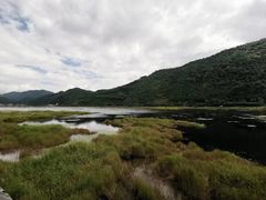 -腾冲北海湿地