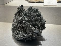 -成都自然博物馆(成都理工大学博物馆)