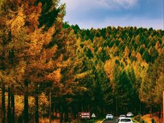 -塞罕坝国家级自然保护区