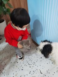 -Moni星球萌宠·小马宝莉·灵蛇·高端高阶全萌宠互动体验俱乐部(红豆国际广场店)