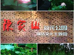 -陈家山荷花公园