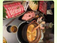 -季季山·云南野生菌火锅(上海首店)