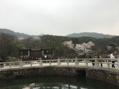 -白马涧龙池景区