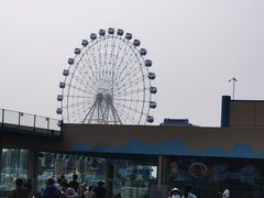 -秦皇岛乐岛海洋王国