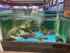 -聚福宝合苑食府(南头镇店)