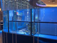-王家渡火锅店(棕榈泉店)