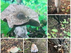 -天龙八部武侠城